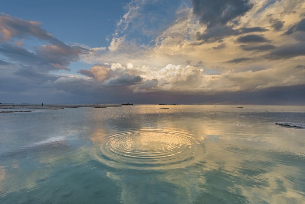 Photograph by Elena Turkov