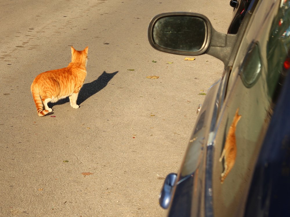 Photograph by Георгий Акопджанов