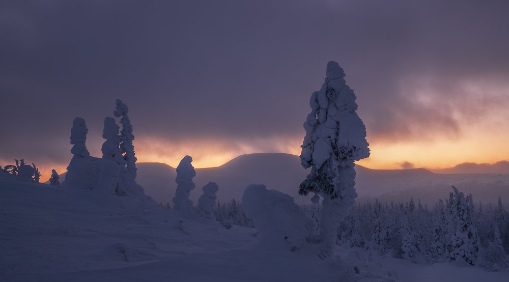 Photograph by Владислав Костылев