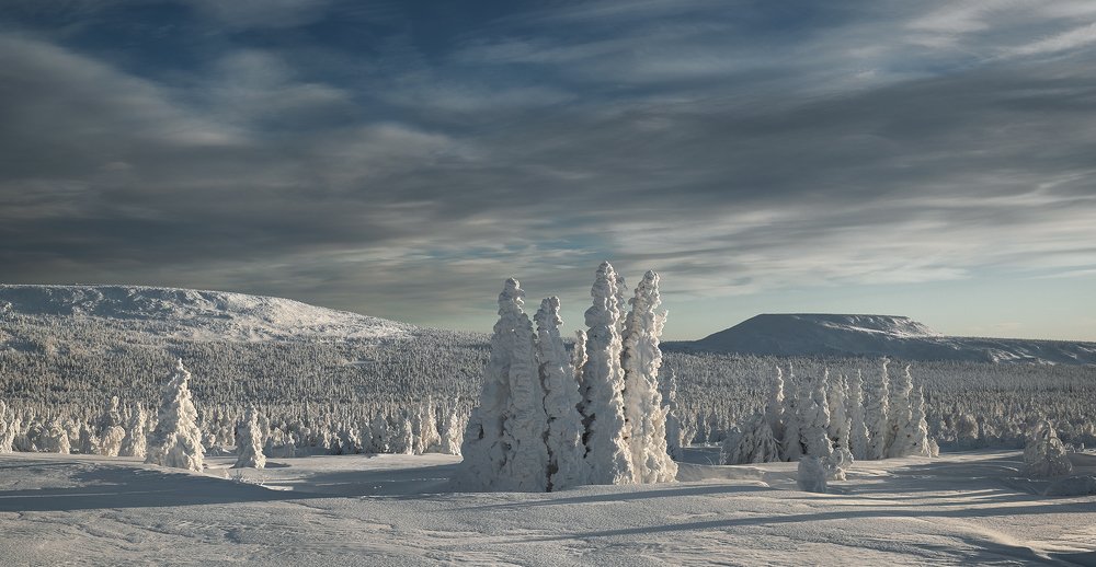Photograph by Владислав Костылев
