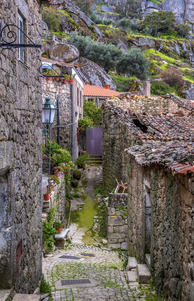 Photograph by Elena Turkov