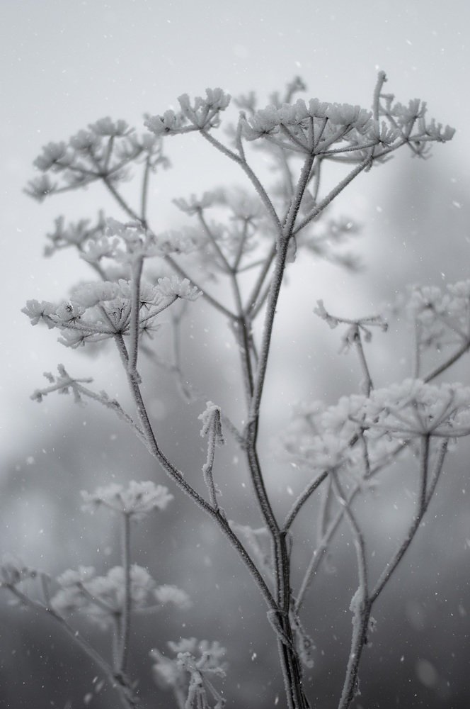 Photograph by Елена Косинова