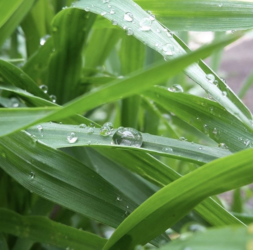 Photograph by Александра Титова