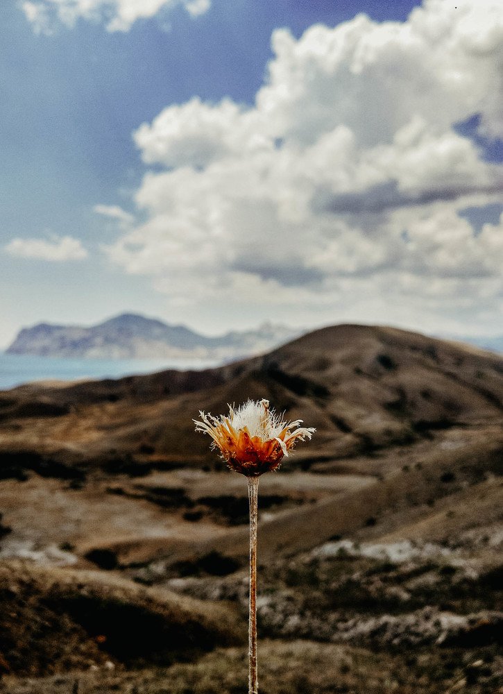 Вид на Коктебель