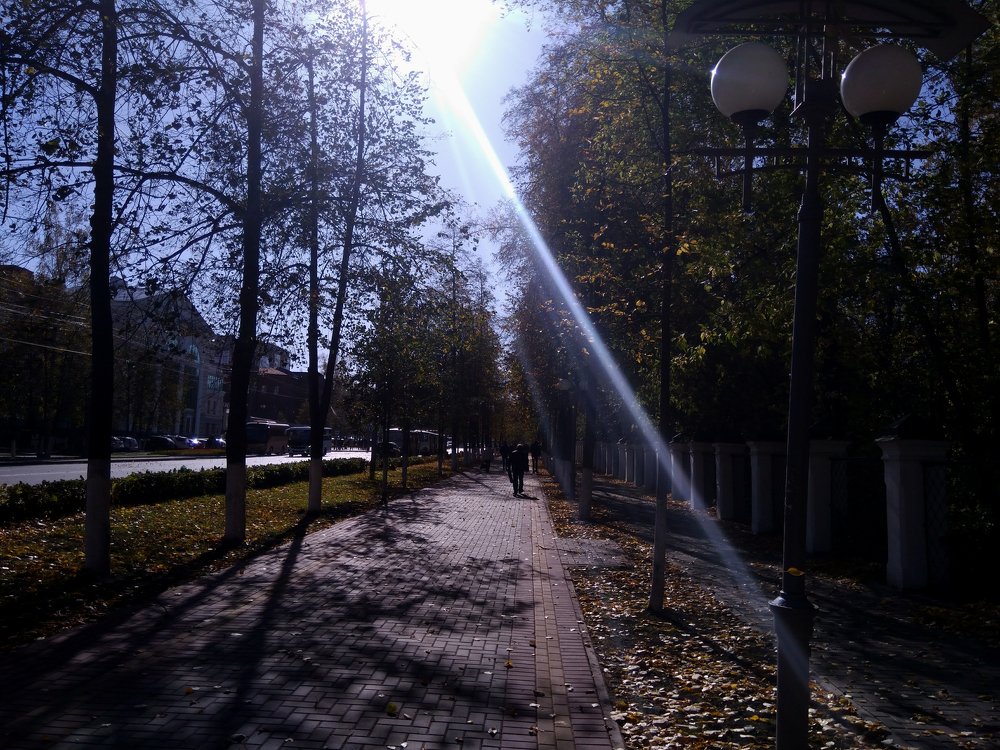 Photograph by Ирина Вассерлауф