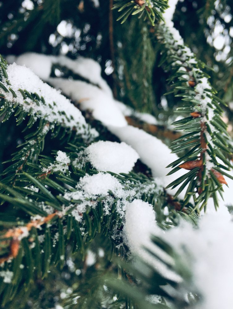 Photograph by Александра Титова