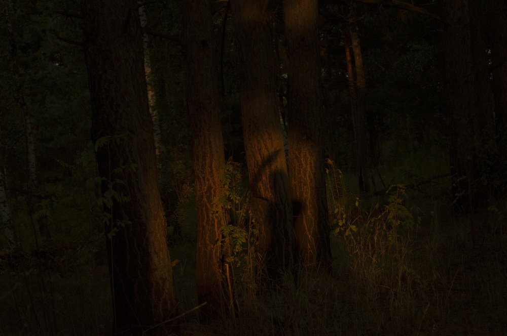 Photograph by Анна Толмачёва