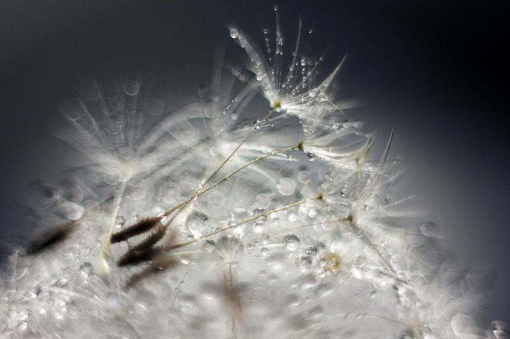 Photograph by Екатерина Топалова