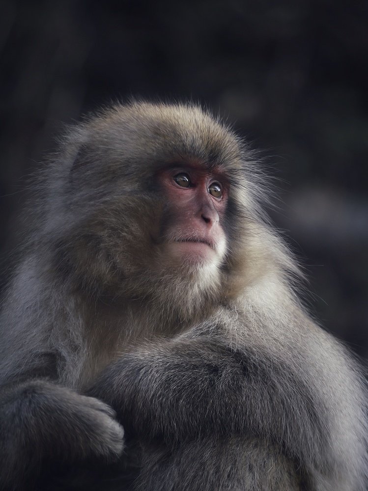 Photograph by Carlos Asensio Pizarro