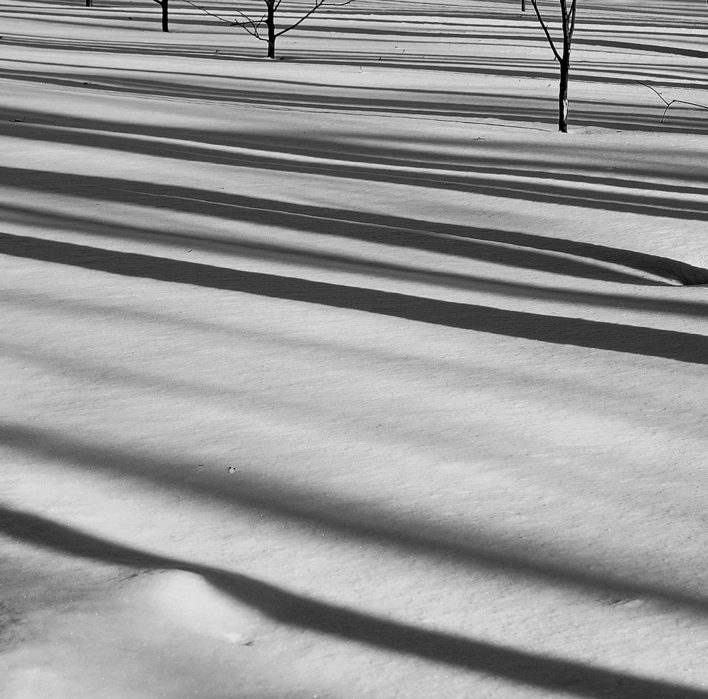 зимний штрих код