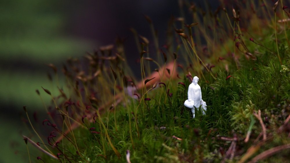 Бабушка приехала.