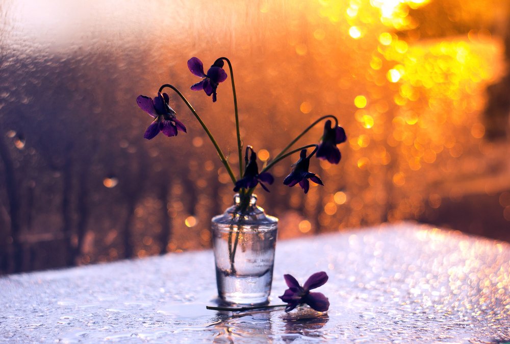 Photograph by Екатерина Топалова