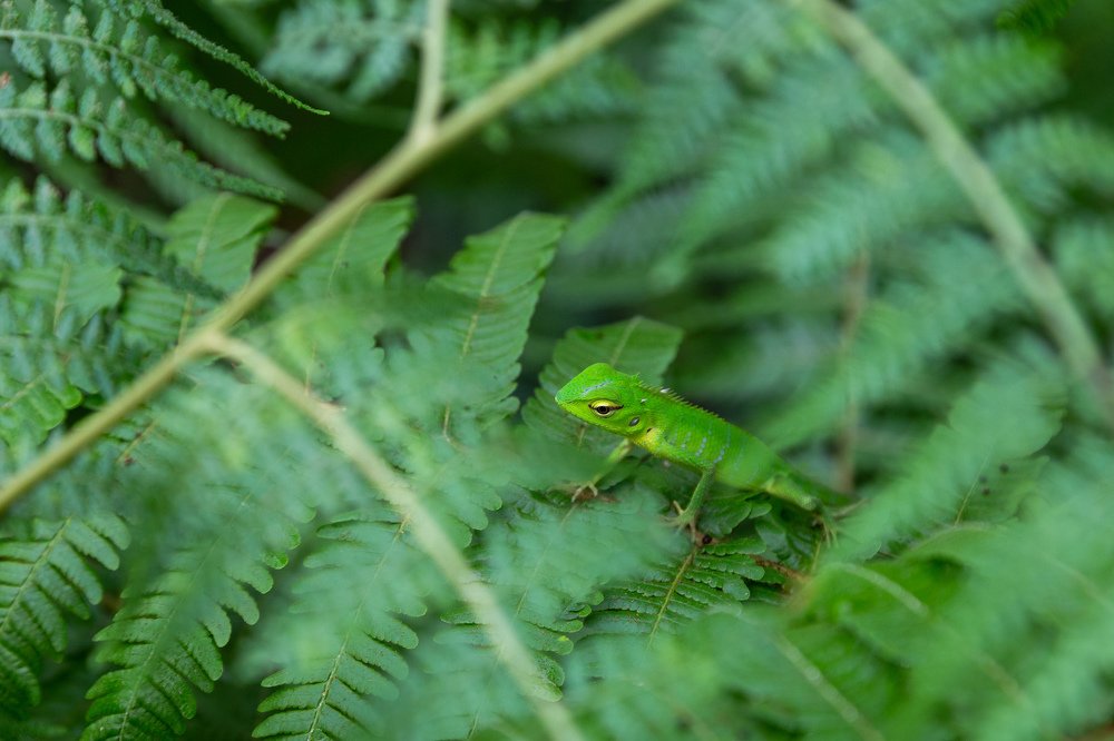 Photograph by Андрей