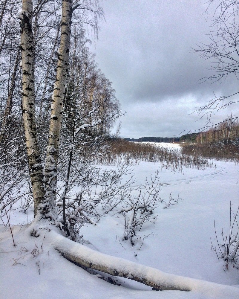 Photograph by Олег Нагалко