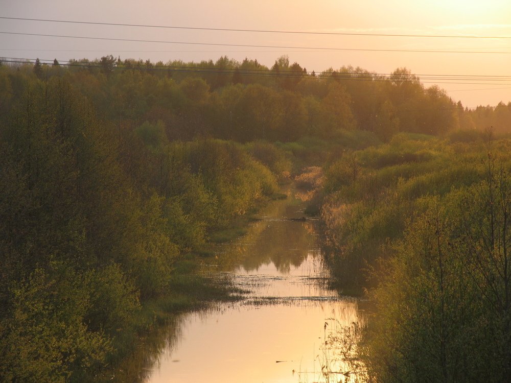 Photo #4200051