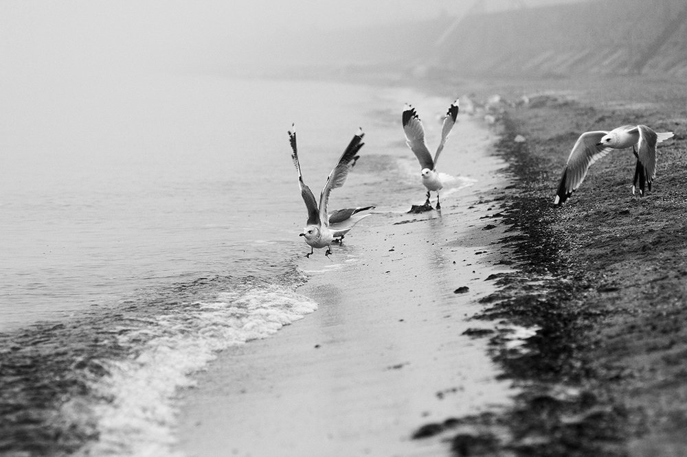 Photograph by Екатерина Топалова