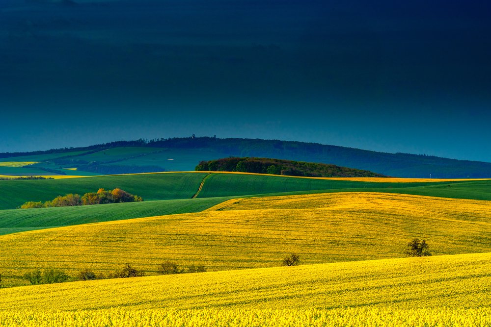 Photograph by 