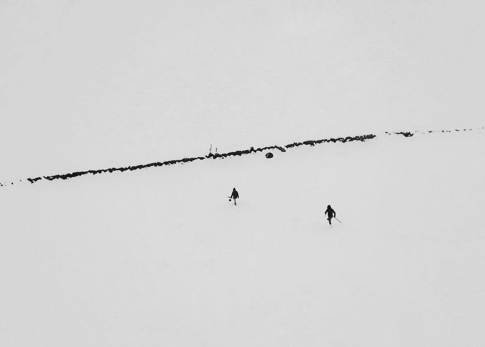 Фотография автора mohammad Alipour