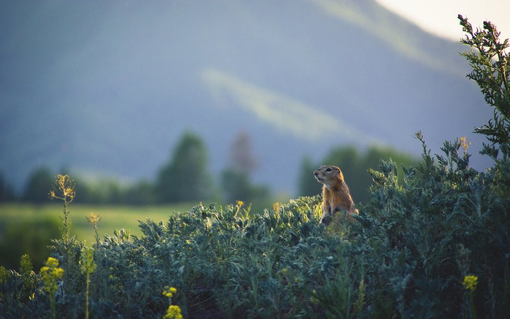 Photograph by Кристина Сотникова