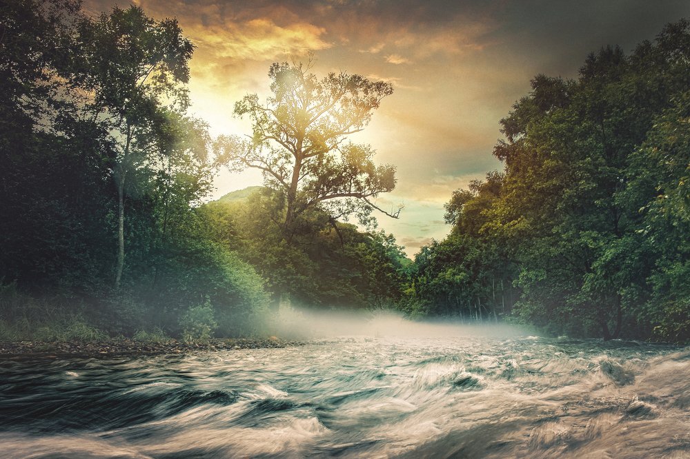 Photograph by Алена Литвин