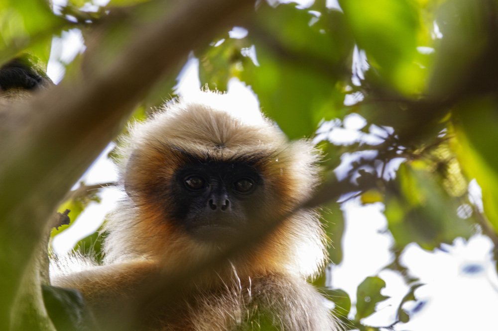 Photograph by Vinod Sundaram