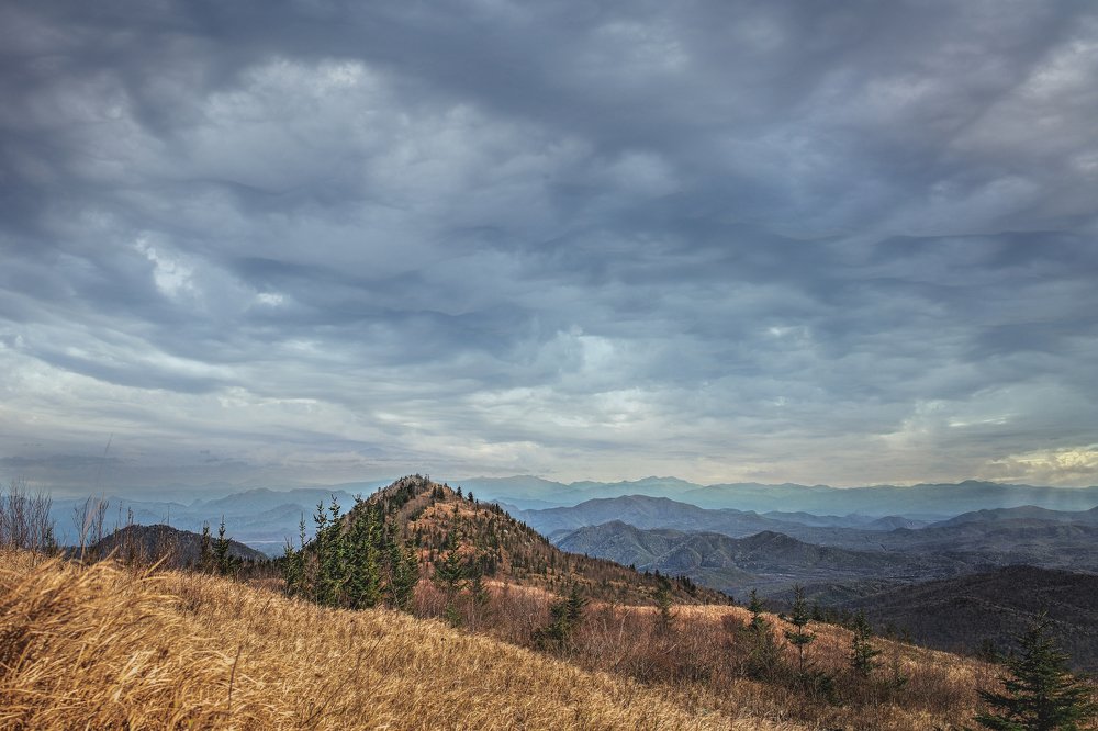 Photograph by Алена Литвин