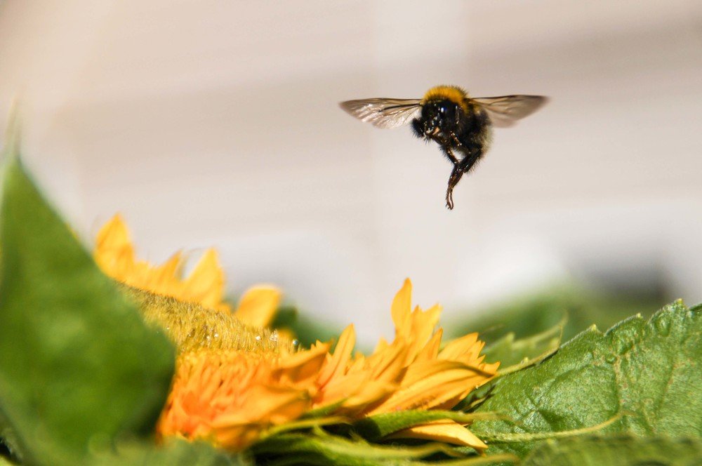 Photograph by Ирина Любимова