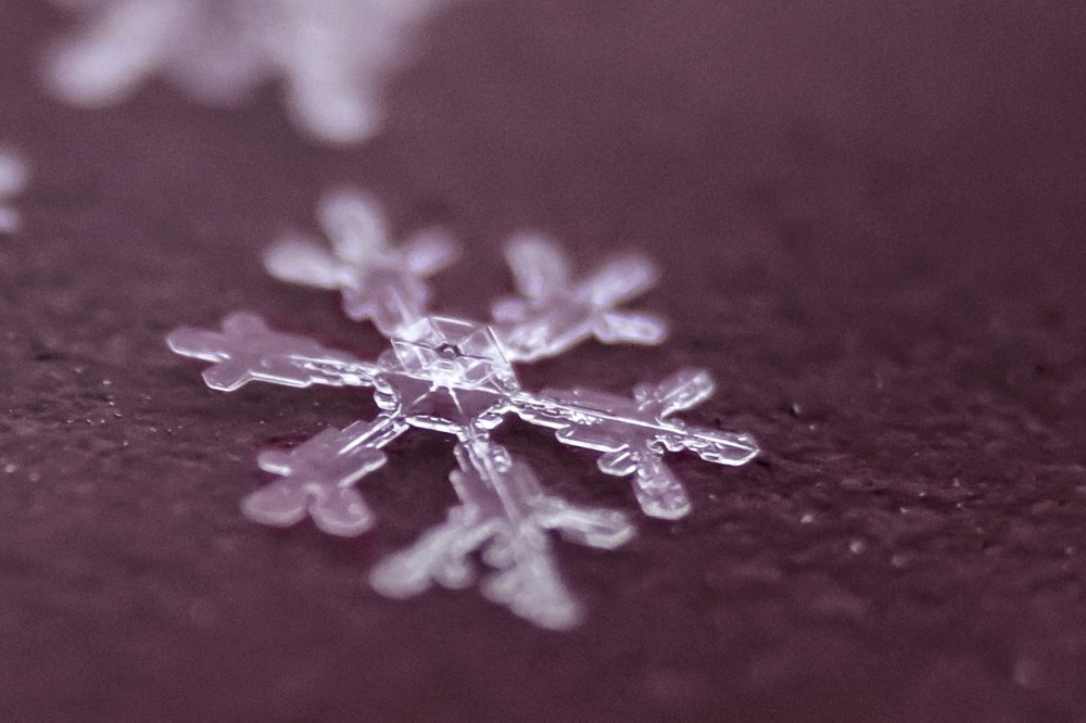 Photograph by Елена Баландина