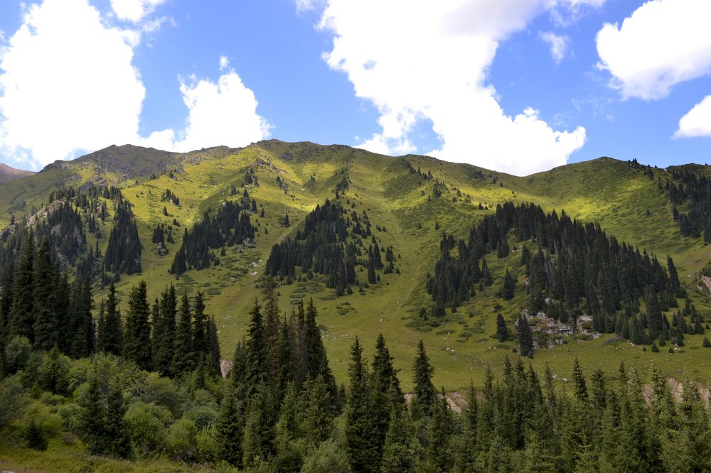 Photograph by Алёна Фефелова