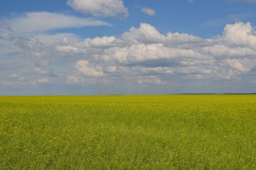 Photograph by Алёна Фефелова