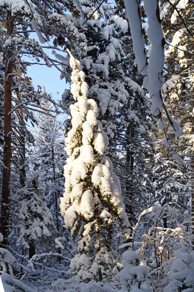 Photograph by Владимир Бормотов