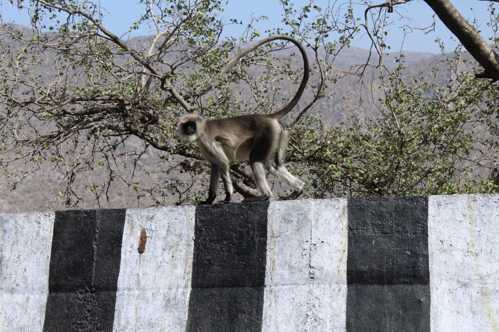 Best Leader of Group