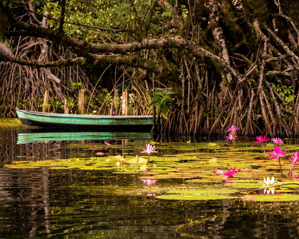 Photograph by Danny Gamboa