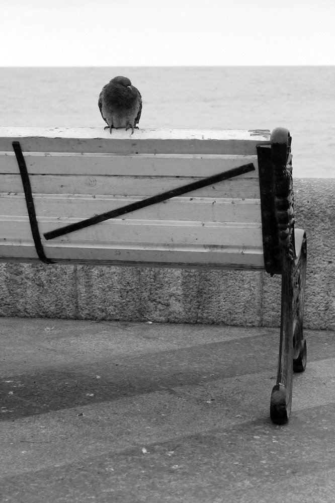 Photograph by Александра Ануфриева