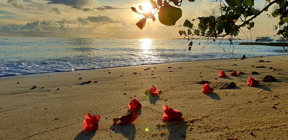 Photograph by Oleg Maloman