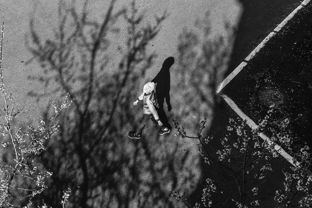 Photograph by Тамара Морозова