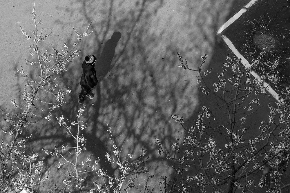 Photograph by Тамара Морозова