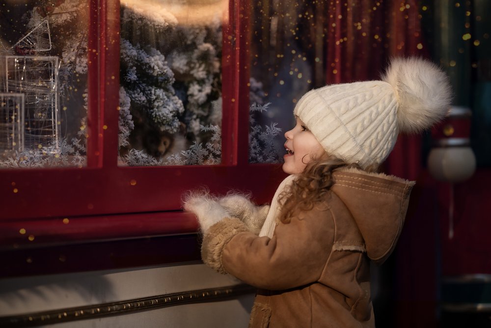 В поисках Деда Мороза.