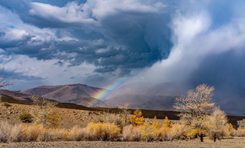 Photograph by Дмитрий Ярощук