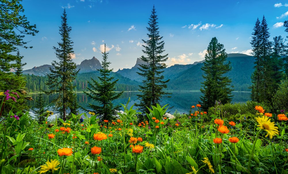 Photograph by Дмитрий Ярощук