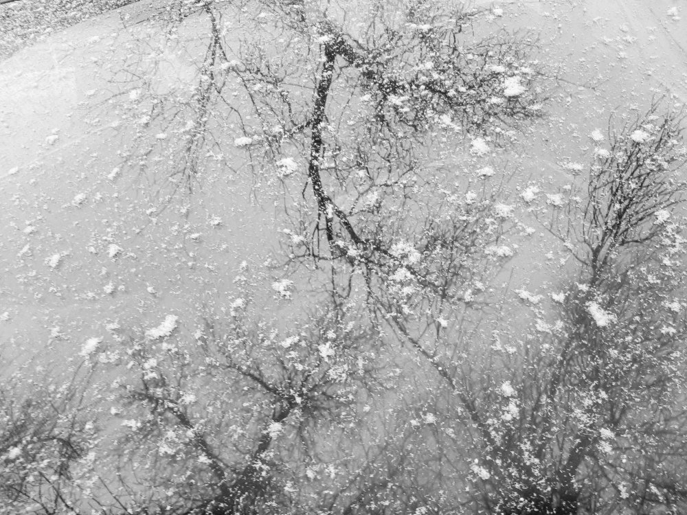 Photograph by Юлия Губаренко