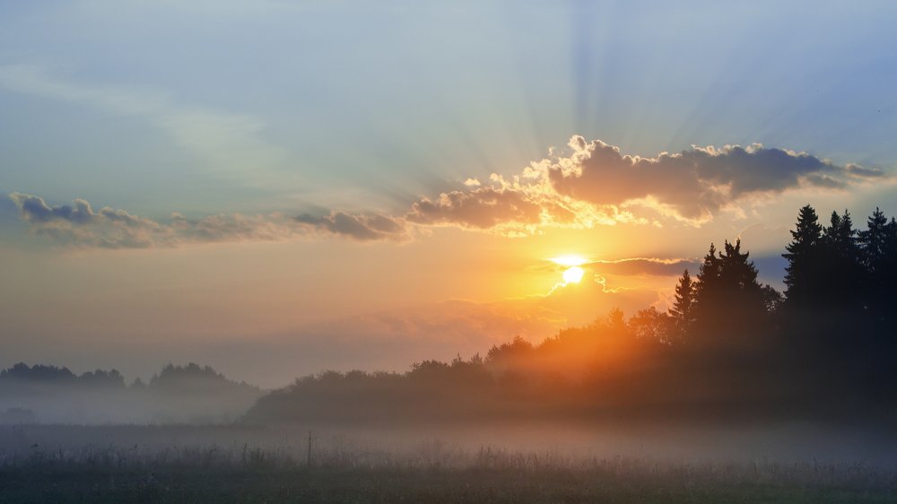 Photograph by raimundas