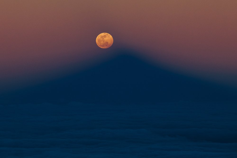 Photograph by Алина Андреева