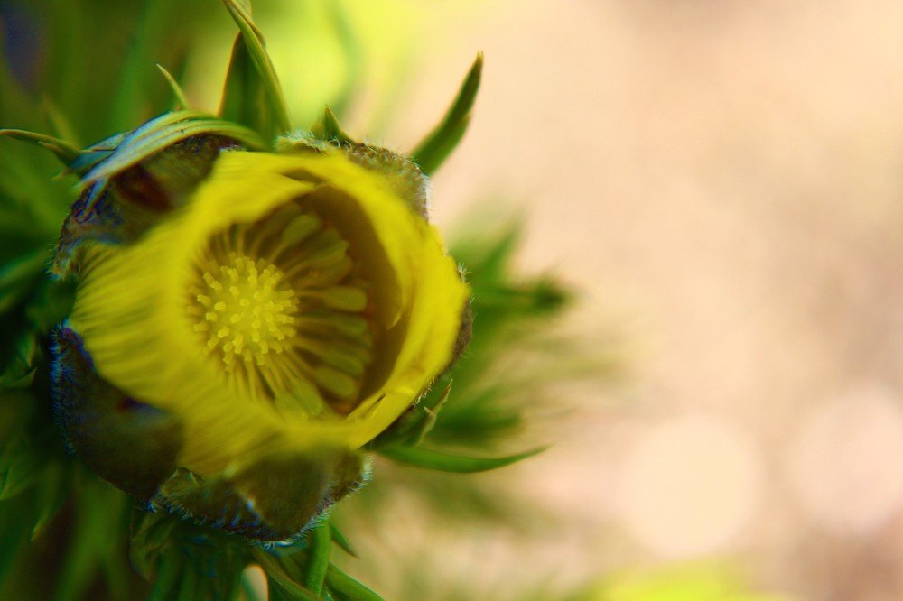 Photograph by Наталья Попова