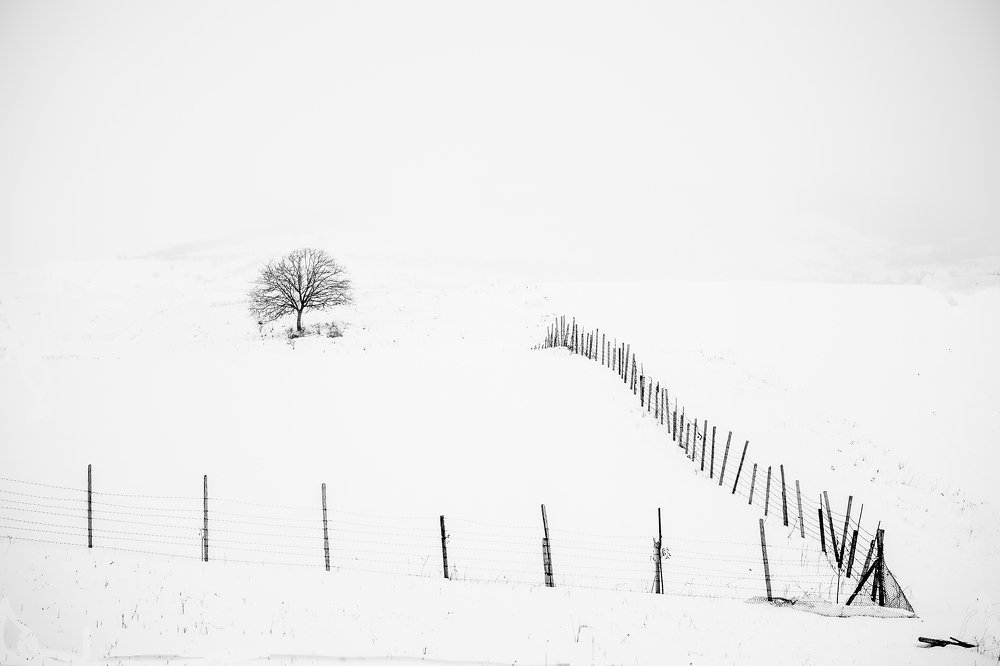 Photograph by Suren Sarumyan