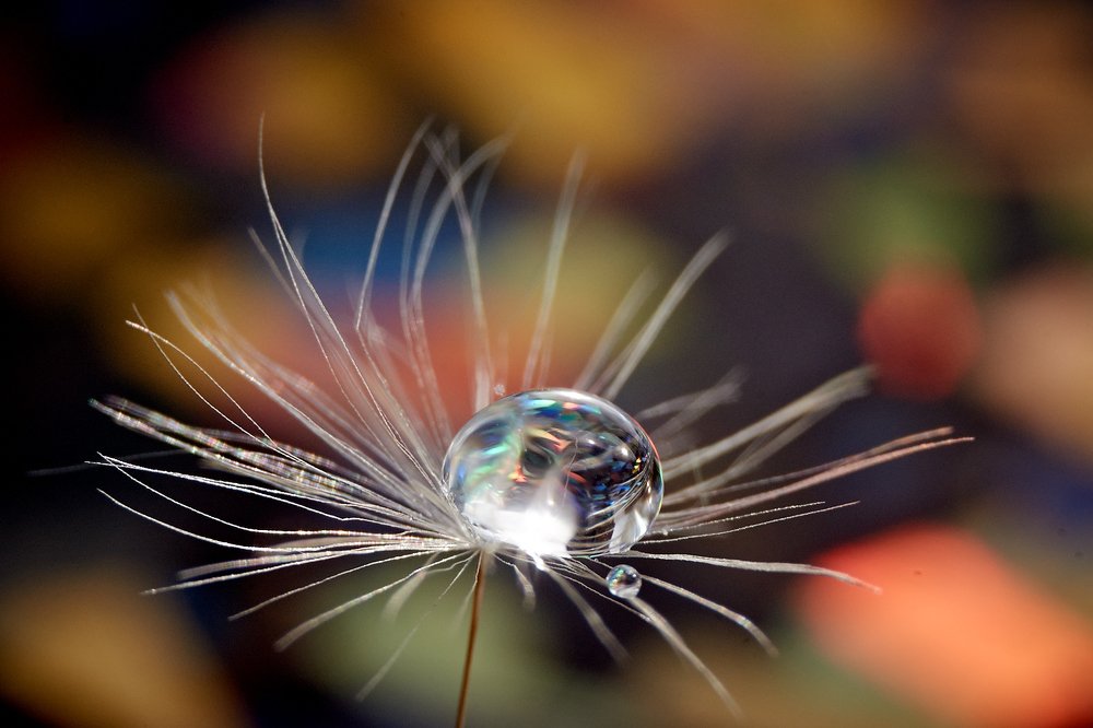 Photograph by Юлия Хаванова