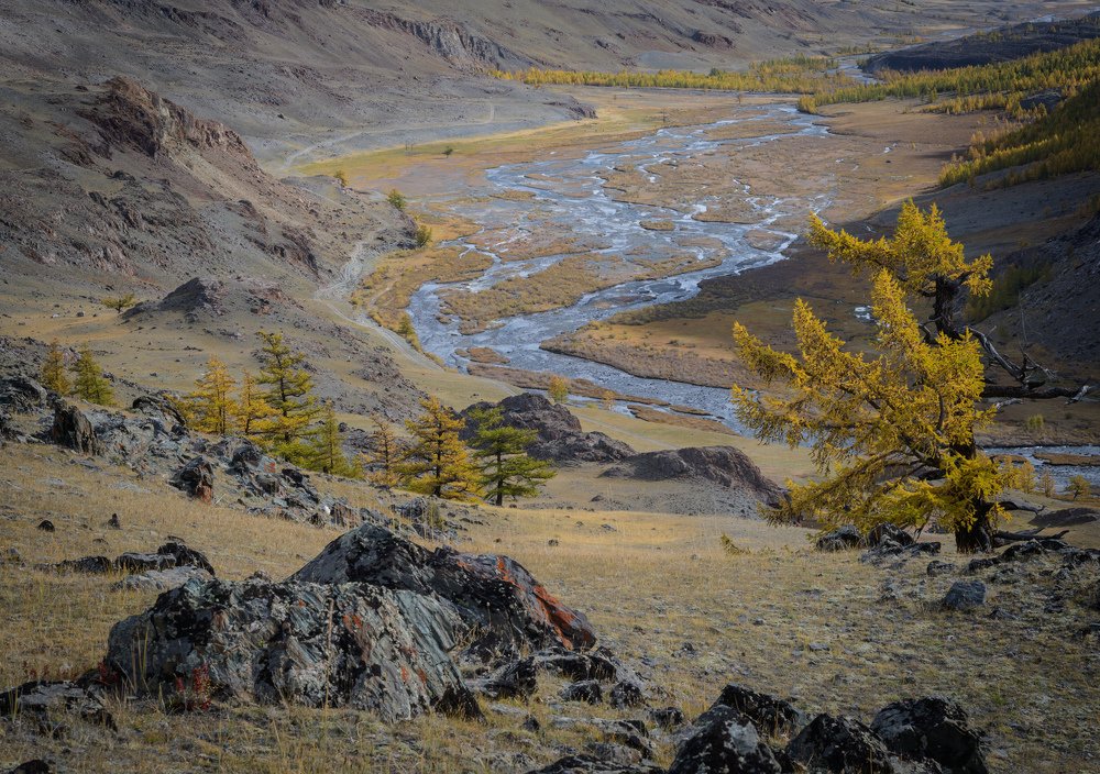 Photograph by  Андрей