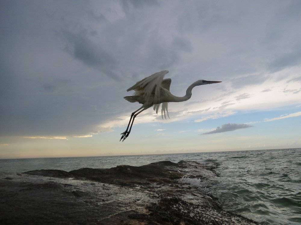 Photograph by Predrag Vukasinovic