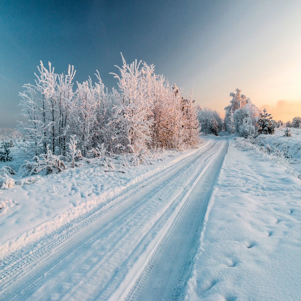 Фотография автора Панагушин Сергей