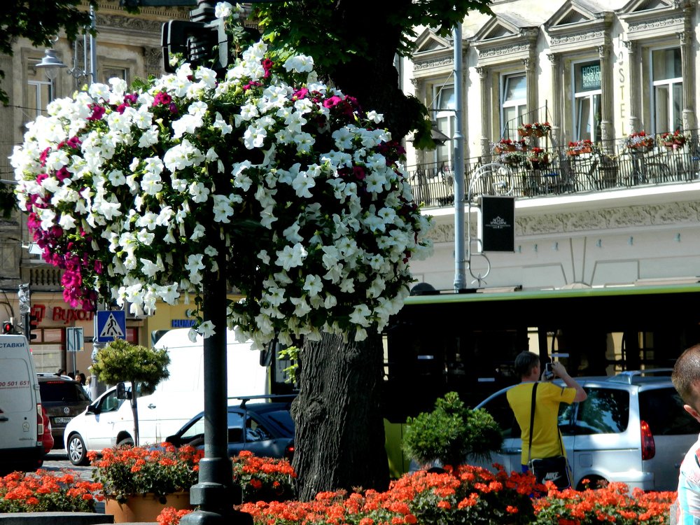 Photograph by Сергей Рапопорт